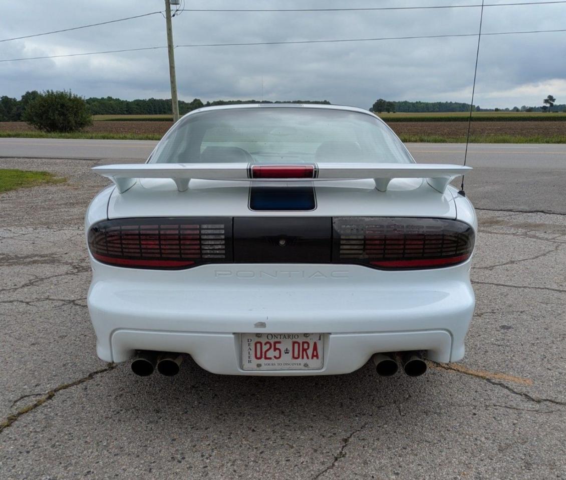 1994 Pontiac Firebird Trans Am - Photo #4