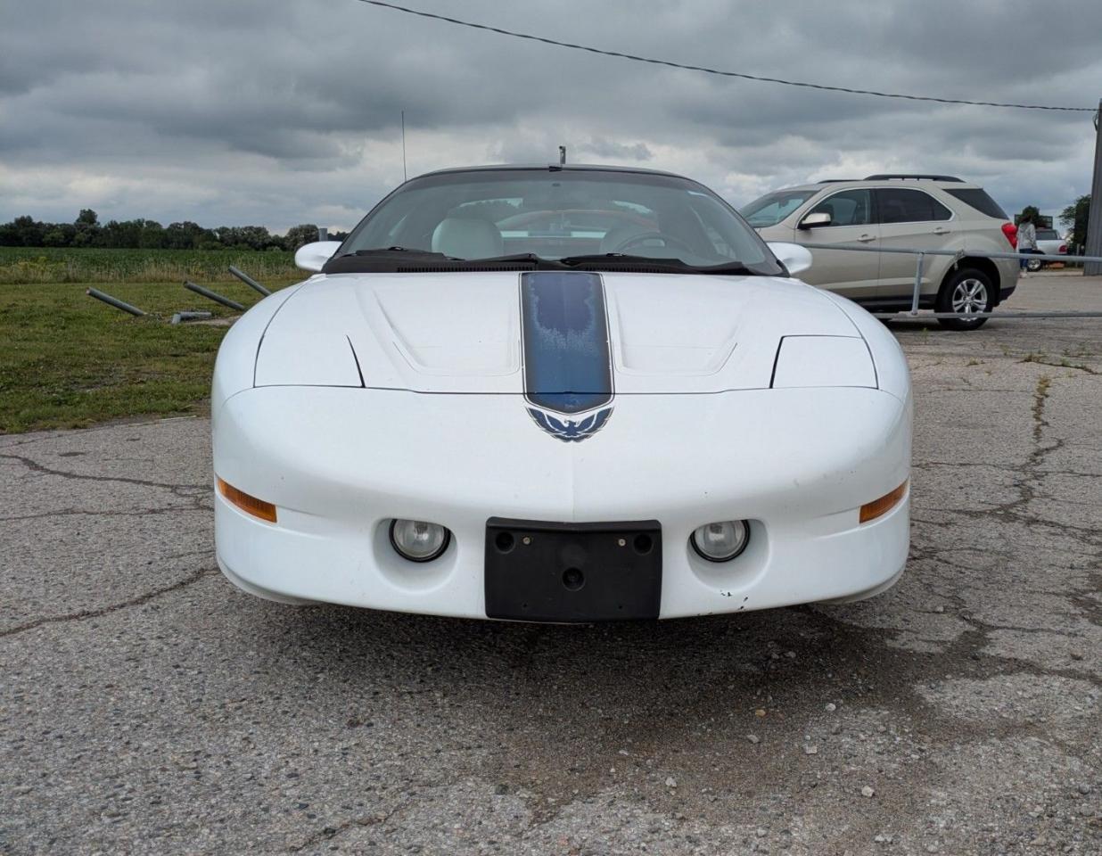 1994 Pontiac Firebird Trans Am - Photo #8