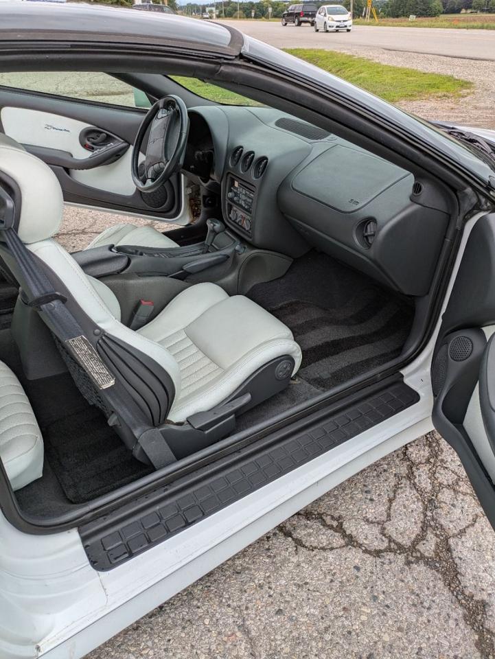 1994 Pontiac Firebird Trans Am - Photo #15