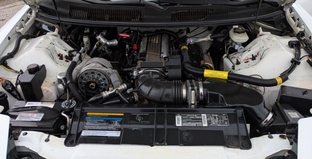 1994 Pontiac Firebird Trans Am - Photo #19