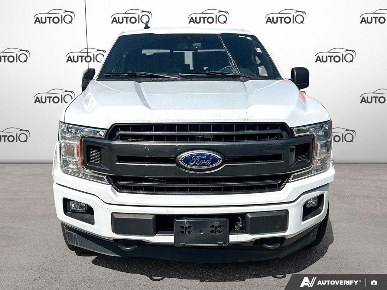 2019 Ford F-150 XLT 302A | ACCIDENT FREE | 1 OWNER | FX4 | NAV | SPORT Photo3