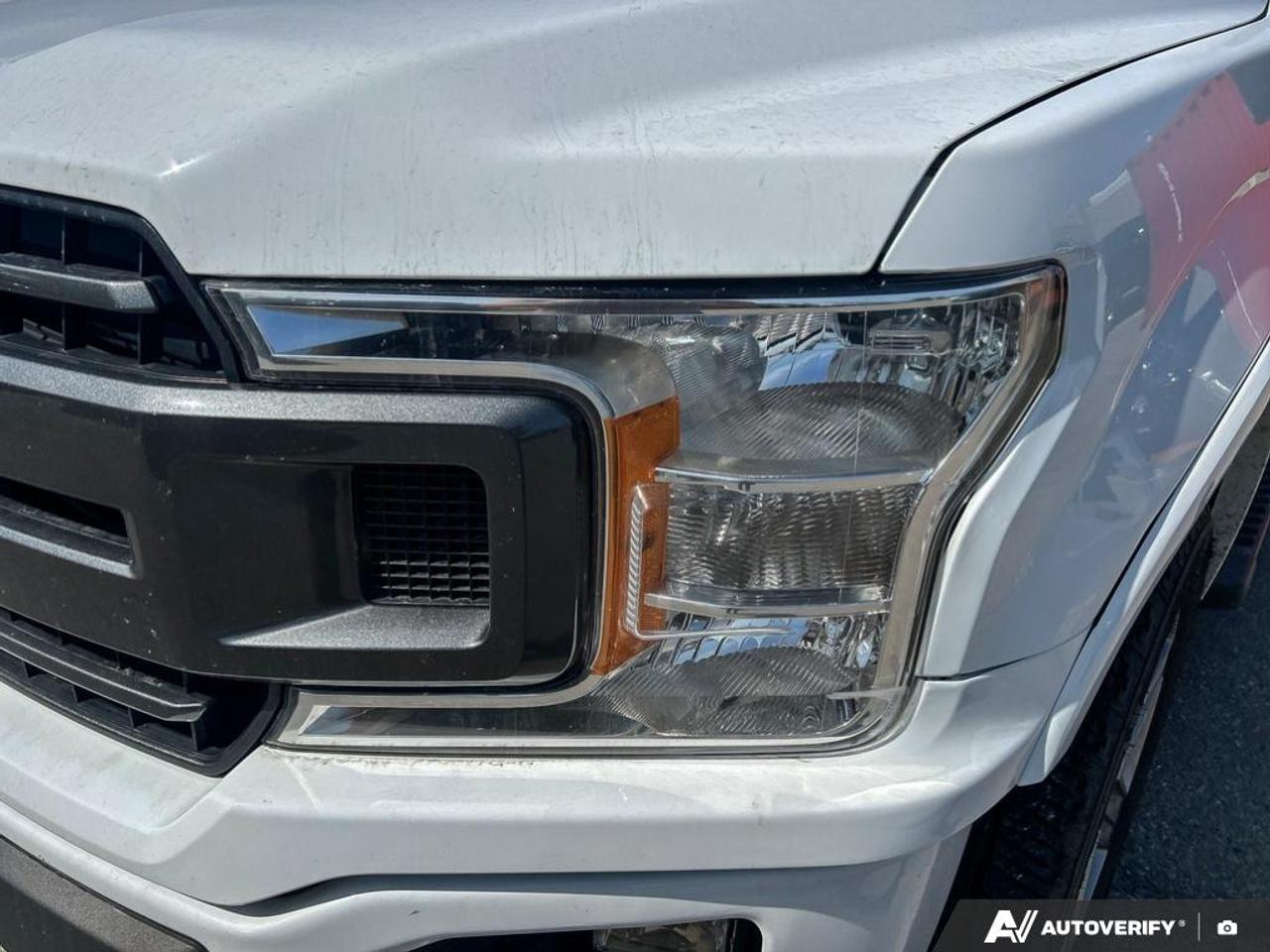 2019 Ford F-150 XLT 302A | ACCIDENT FREE | 1 OWNER | FX4 | NAV | SPORT Photo