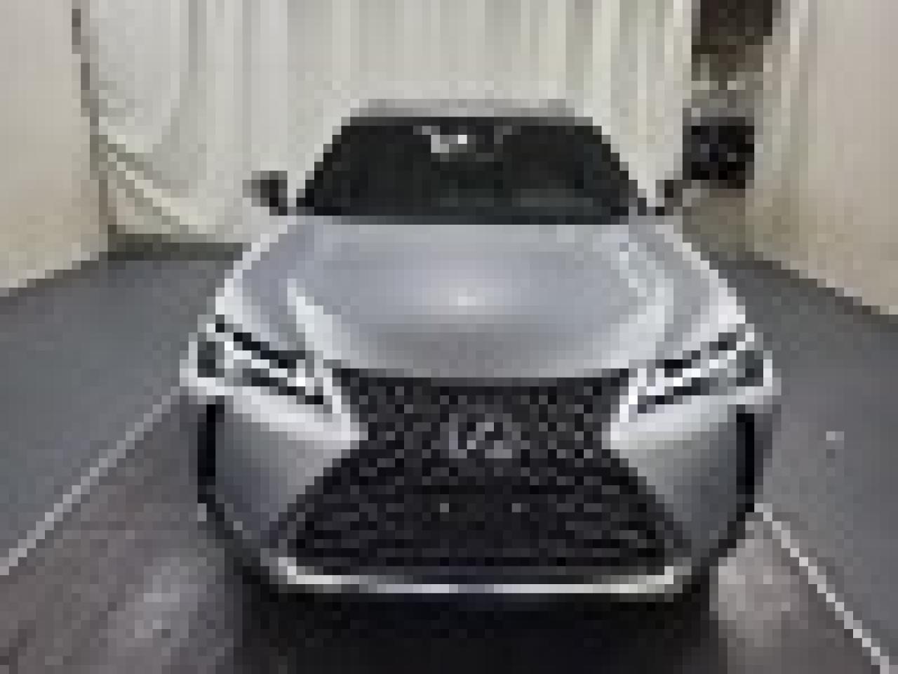 2025 Lexus UX UX 300h - Photo #2