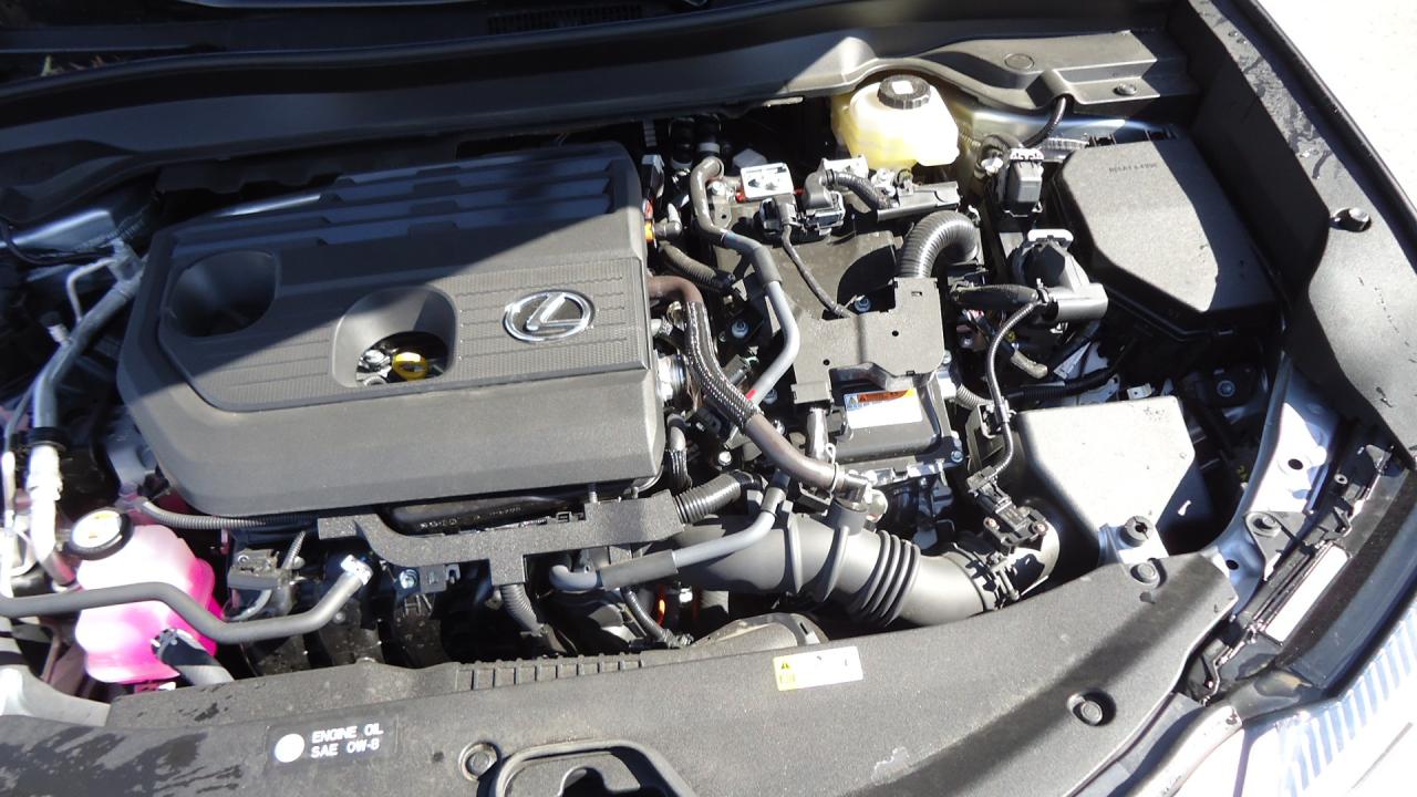 2025 Lexus UX UX 300h - Photo #13