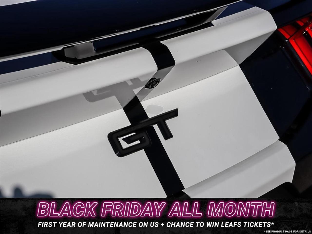 2025 Ford Mustang GT Premium Fastback Photo