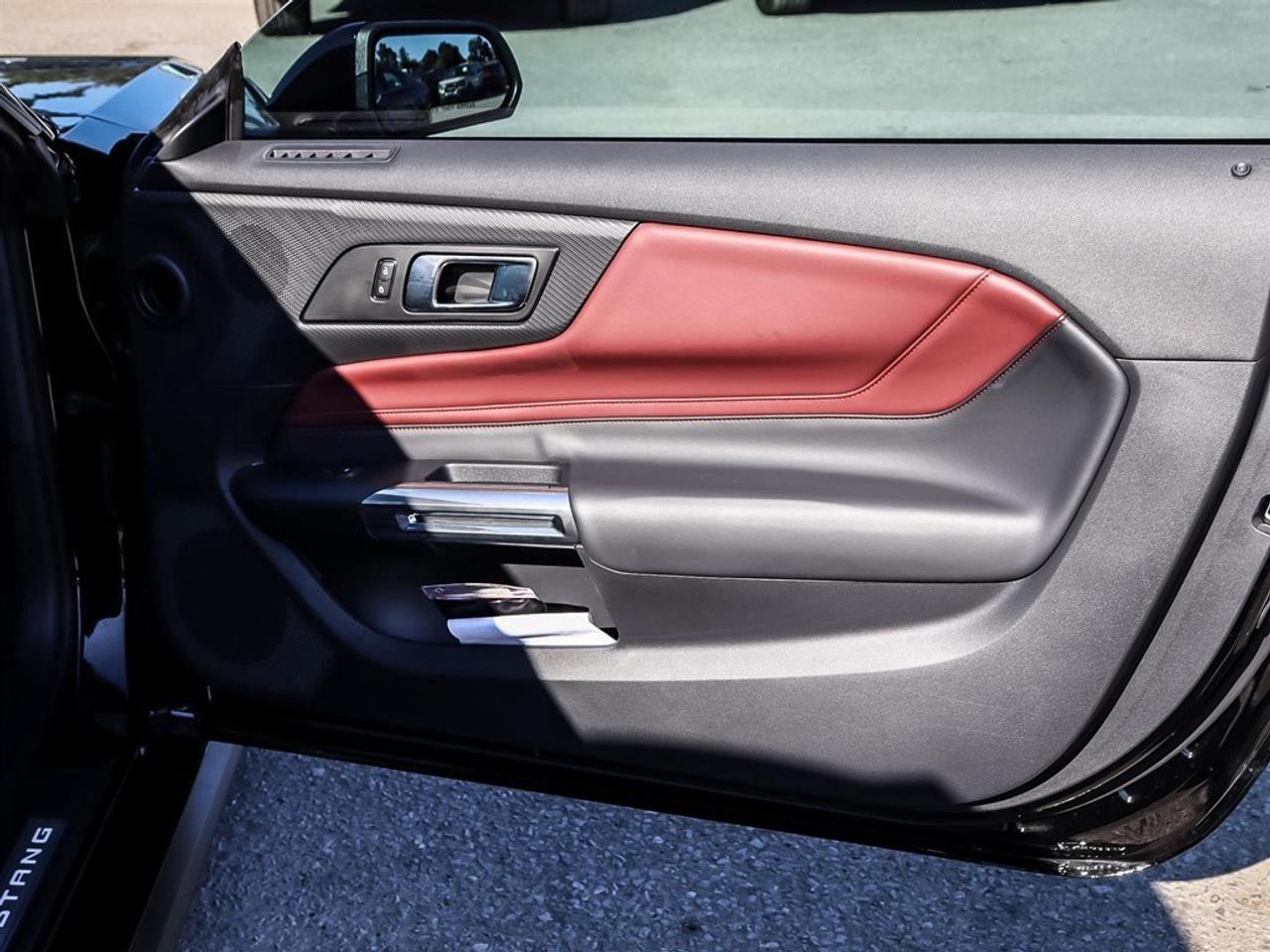 2025 Ford Mustang GT Premium Fastback Photo