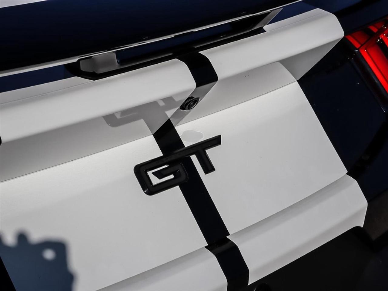 2025 Ford Mustang GT Premium Fastback Photo