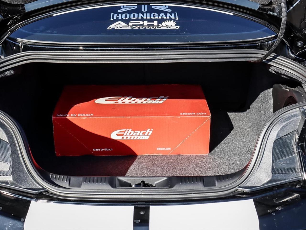 2025 Ford Mustang GT Premium Fastback Photo