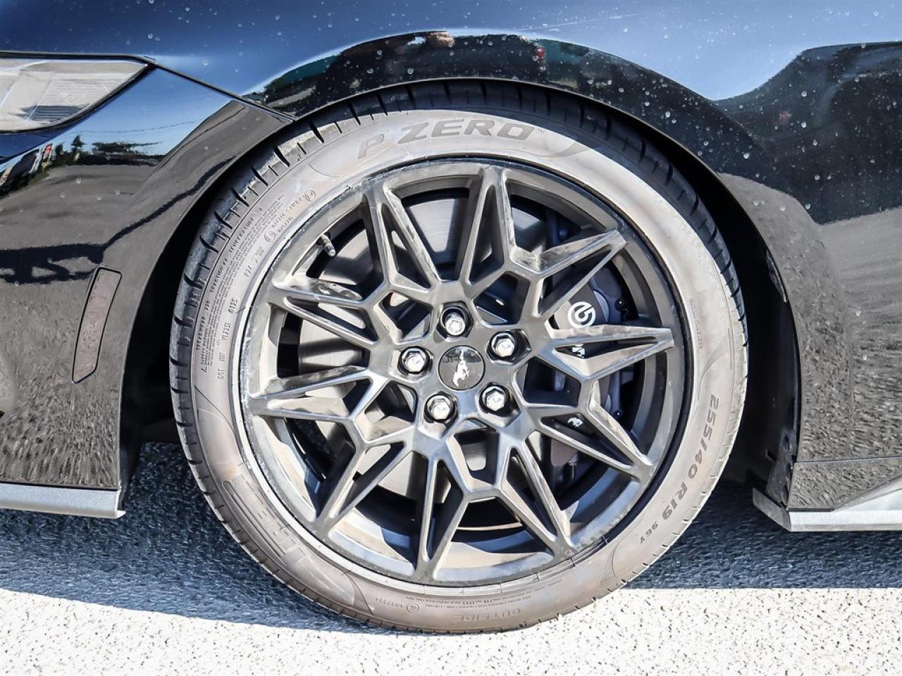 2025 Ford Mustang GT Premium Fastback Photo