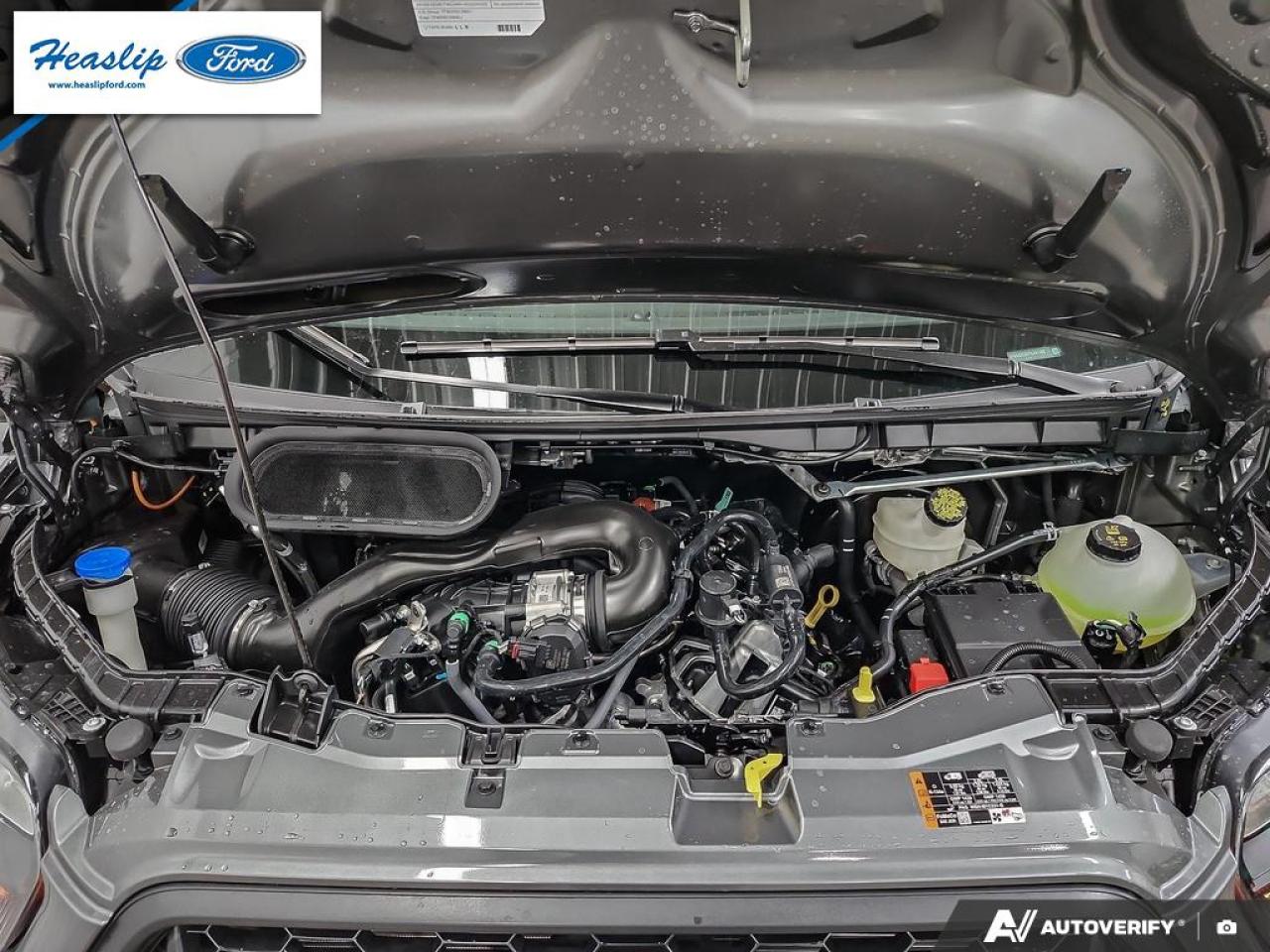 2026 Ford Transit Passenger Wagon XL Photo