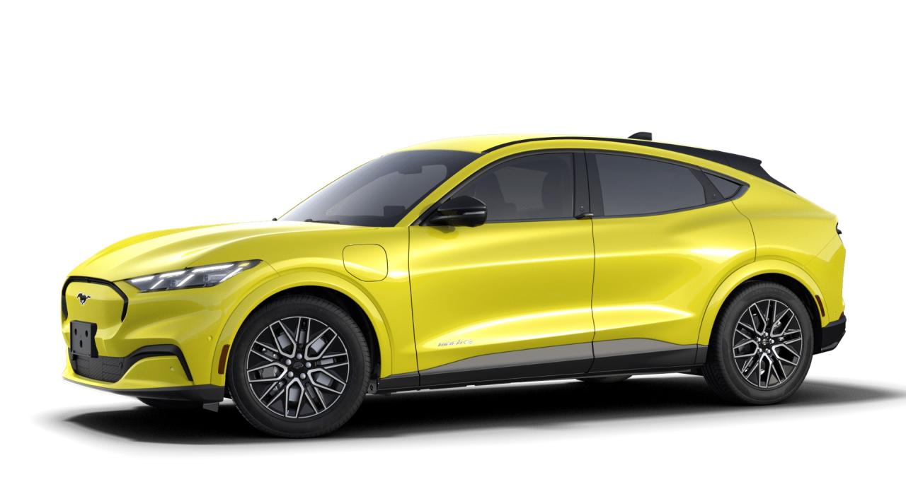 2025 Ford Mustang Mach-E Premium Photo0