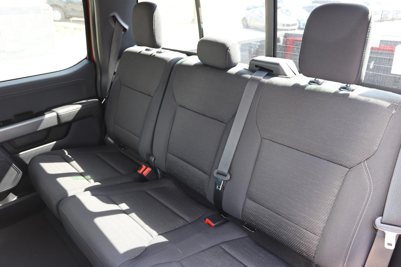 2025 Ford F-150 XLT 4WD SuperCrew 5.5' Box Photo5