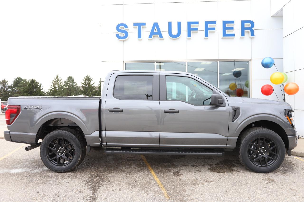 2025 Ford F-150 STX 4WD SuperCrew 5.5' Box Photo