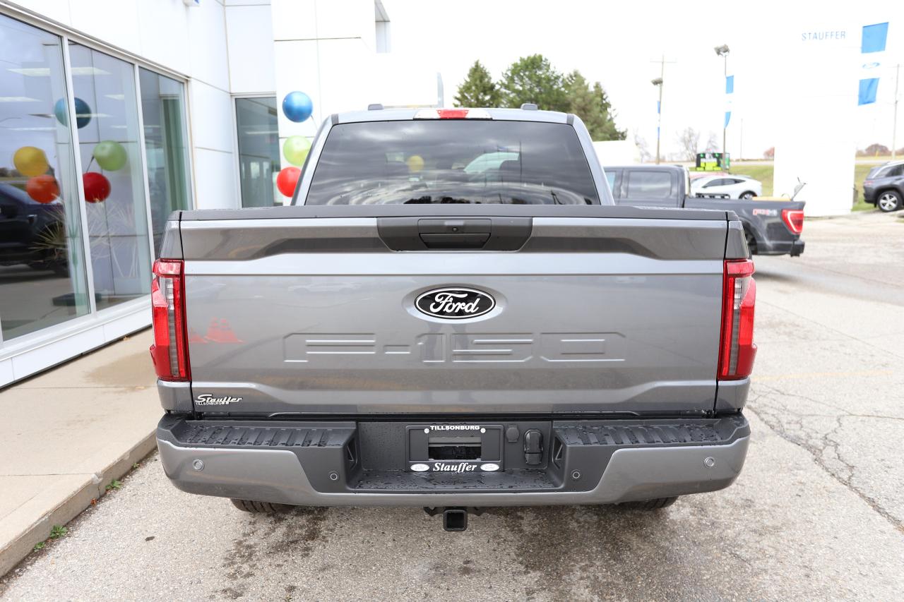 2025 Ford F-150 STX 4WD SuperCrew 5.5' Box Photo