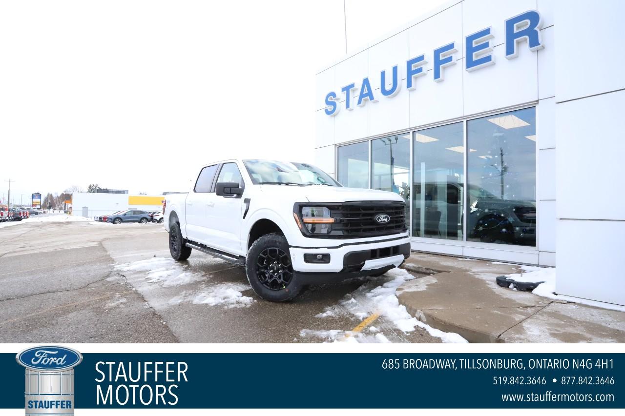 2025 Ford F-150 XLT 4WD SuperCrew 5.5' Box Photo0