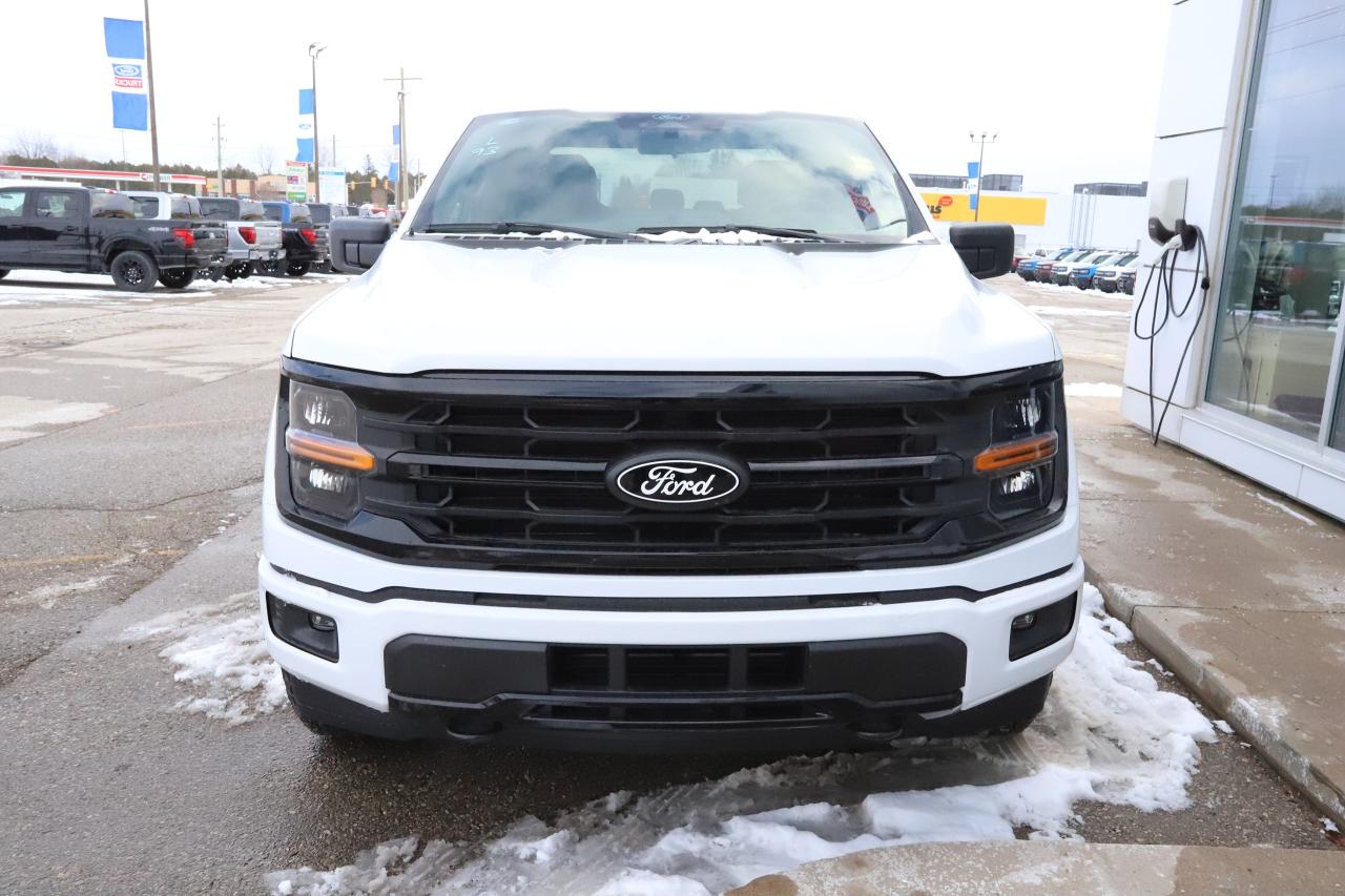 2025 Ford F-150 XLT 4WD SuperCrew 5.5' Box Photo