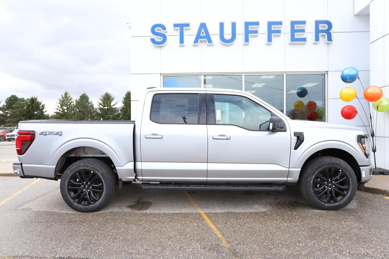 2025 Ford F-150 XLT 4WD SuperCrew 5.5' Box Photo