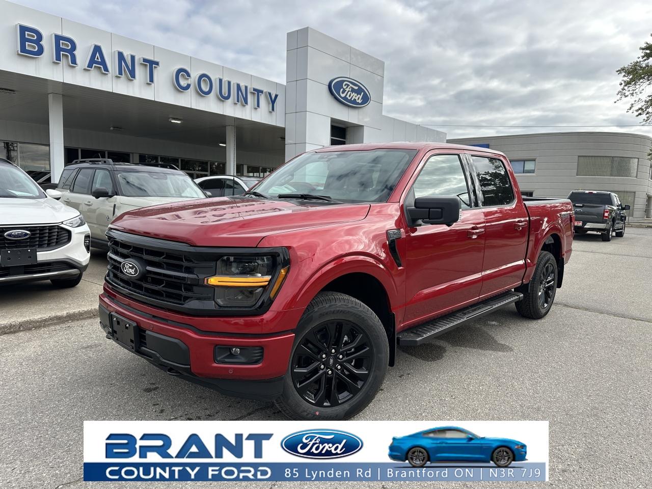 2025 Ford F-150 XLT Photo0