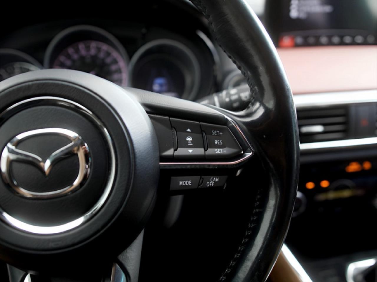 2017 Mazda CX-9 Signature  **21 SERVICE RECORDS - 1 OWNER** Photo