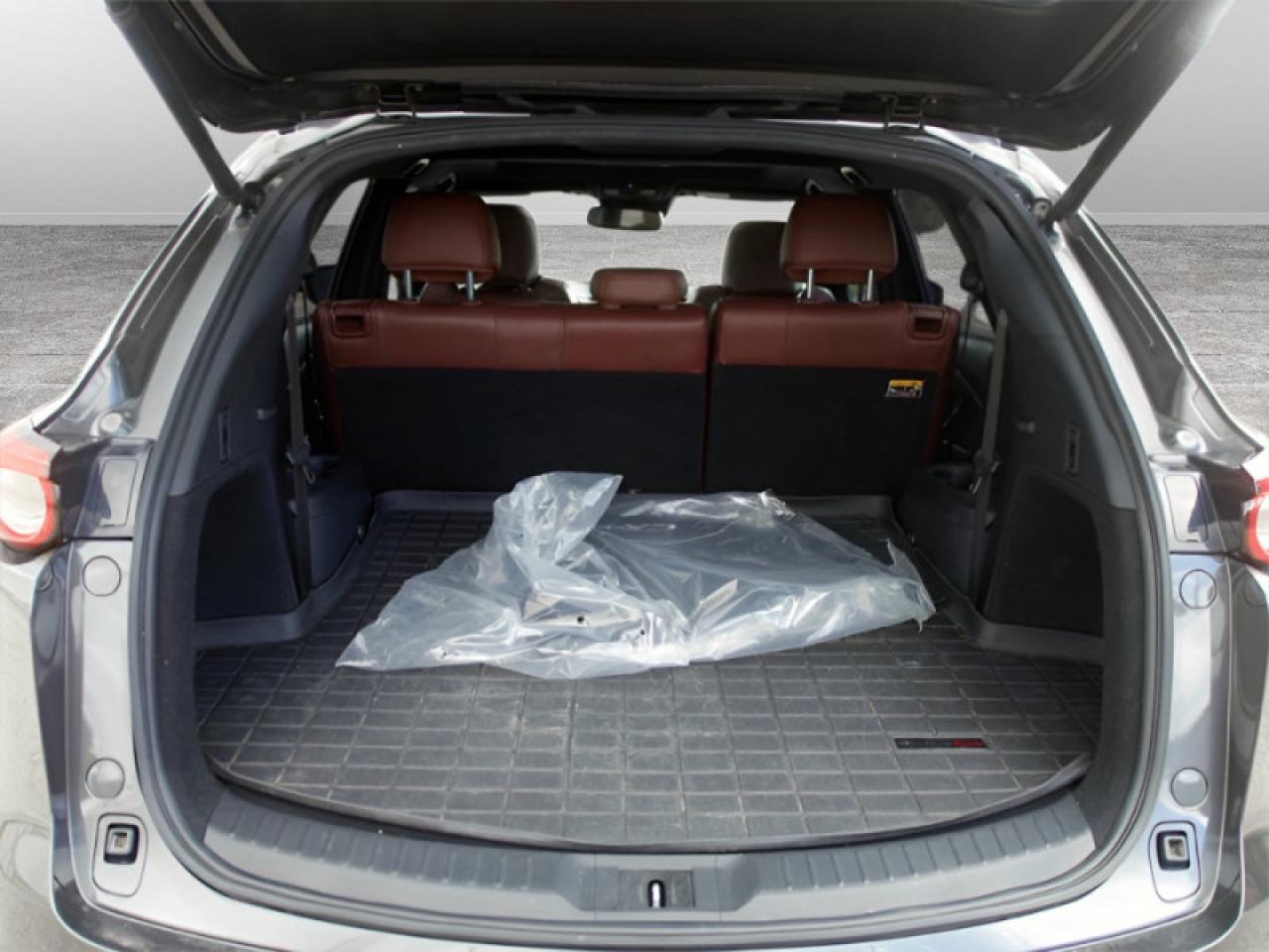 2017 Mazda CX-9 Signature  **21 SERVICE RECORDS - 1 OWNER** Photo