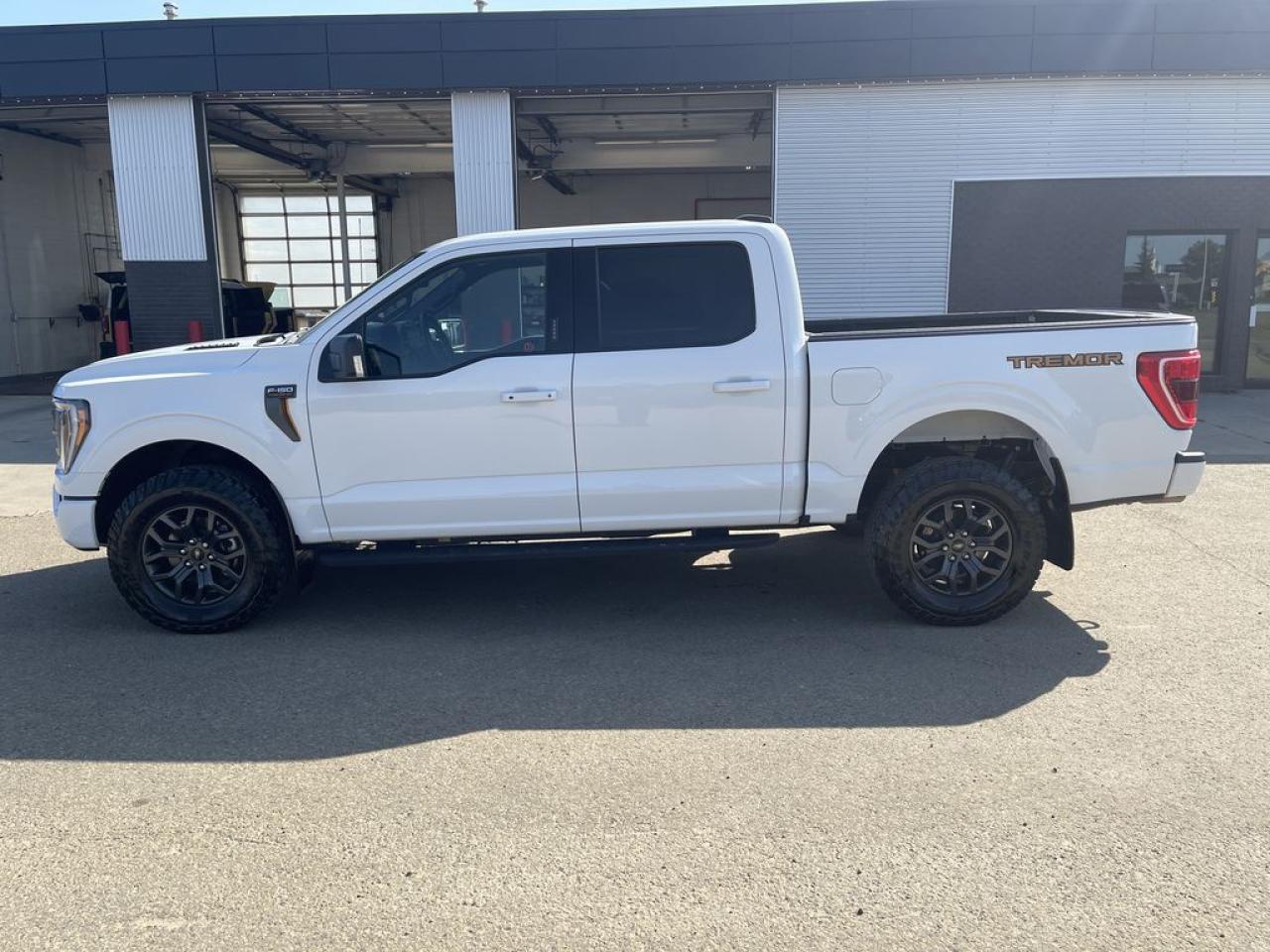 2023 Ford F-150 Tremor Photo3
