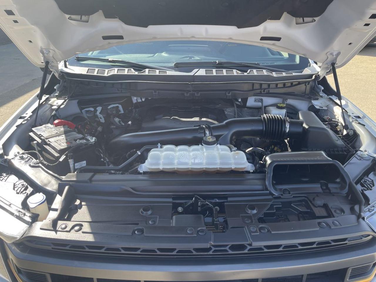 2023 Ford F-150 Tremor Photo5
