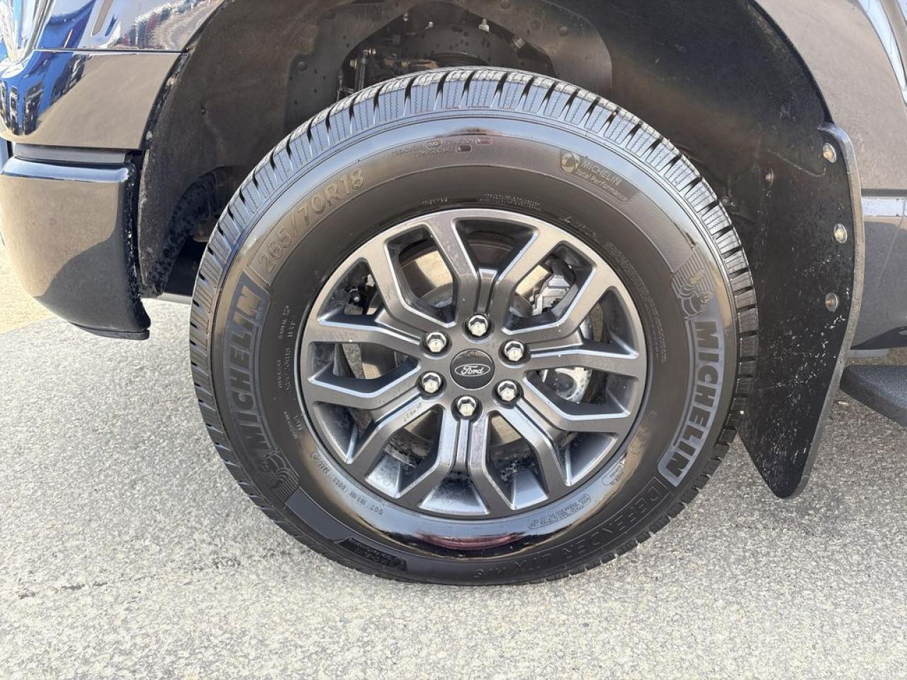 2023 Ford F-150 Tremor Photo5