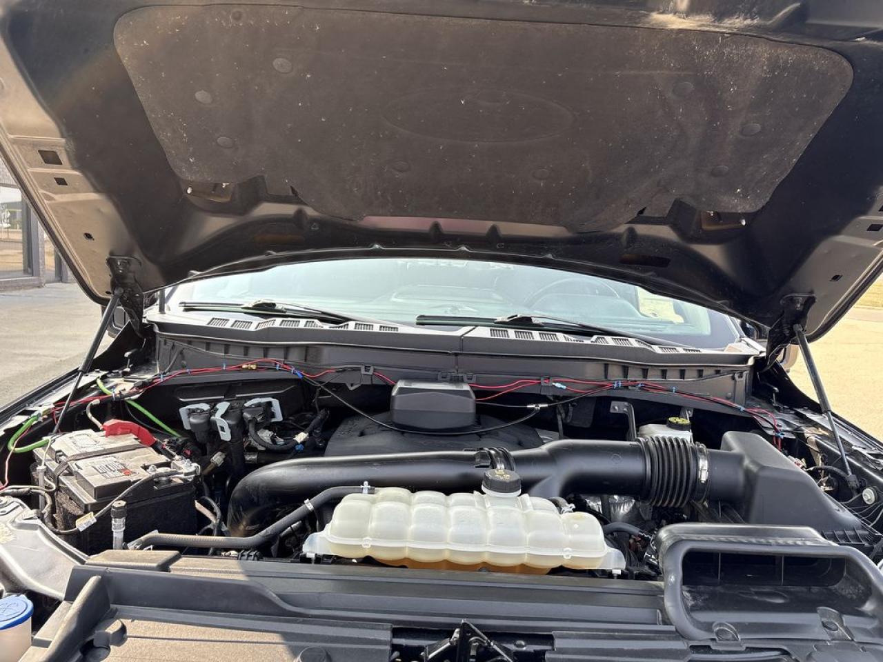 2023 Ford F-150 Tremor Photo5