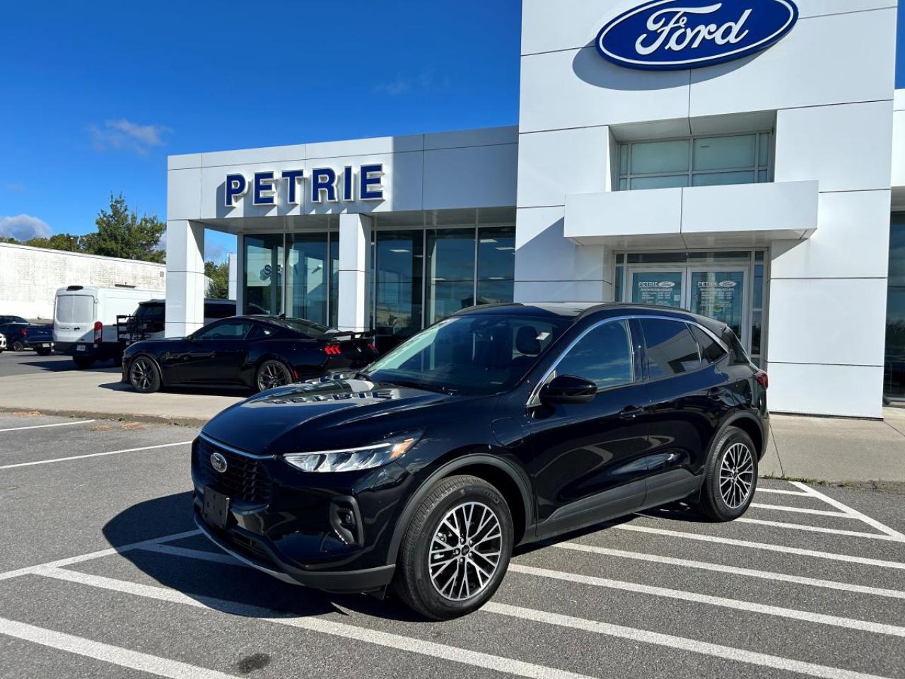 Used 2024 Ford Escape Hybrid PHEV for sale in Kingston, ON