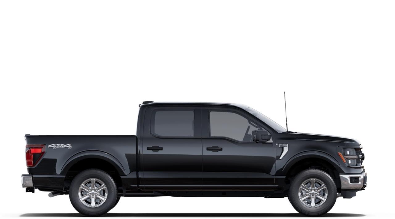2025 Ford F-150 XLT Photo4