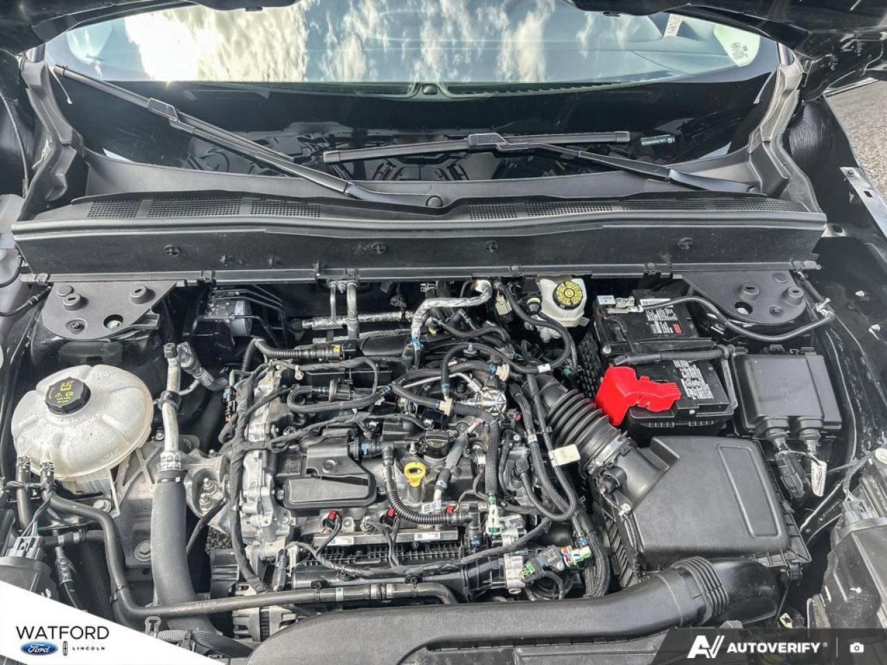 2024 Ford Bronco Sport Big Bend 4x4 Photo