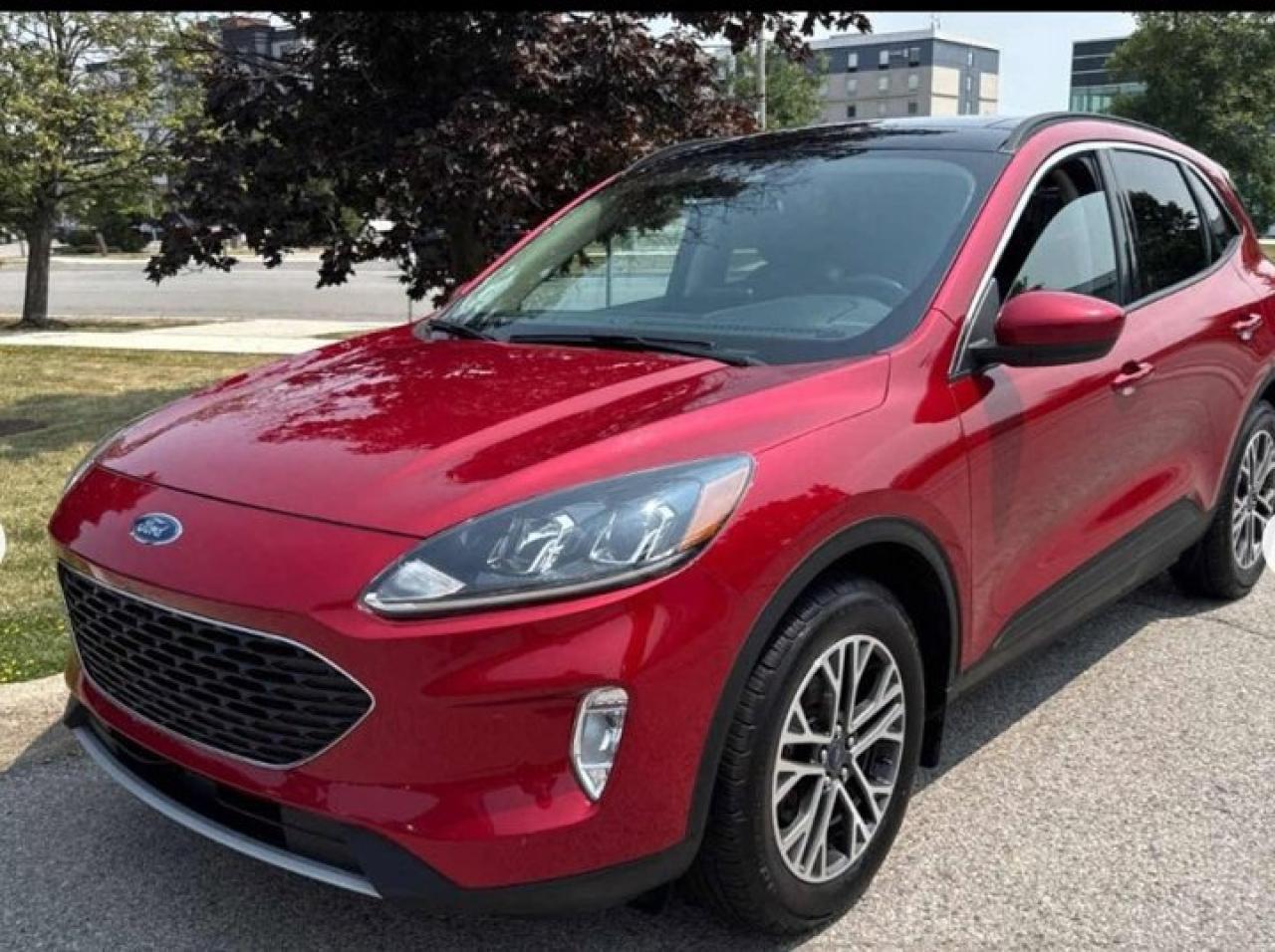Used 2020 Ford Escape SEL AWD | Pano Roof | Leather | Navi | Heated Seats + Steering | Remote Start | Reverse Cam & More ! for sale in Guelph, ON