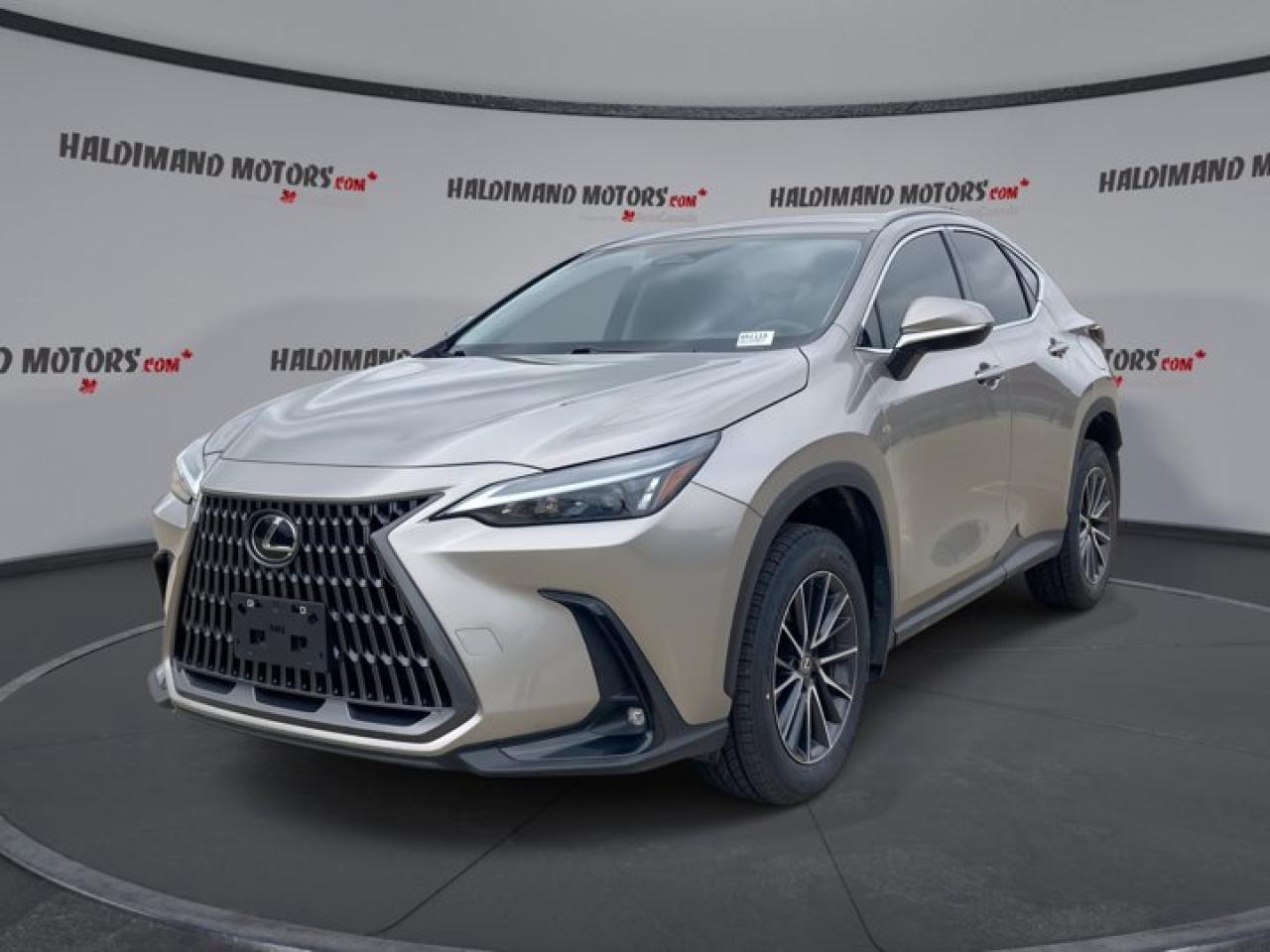 Used 2024 Lexus NX NX 250 for sale in Cayuga, ON