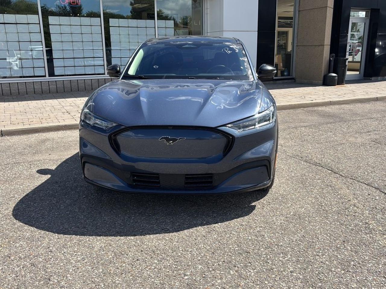 2021 Ford Mustang Mach-E Premium Photo5