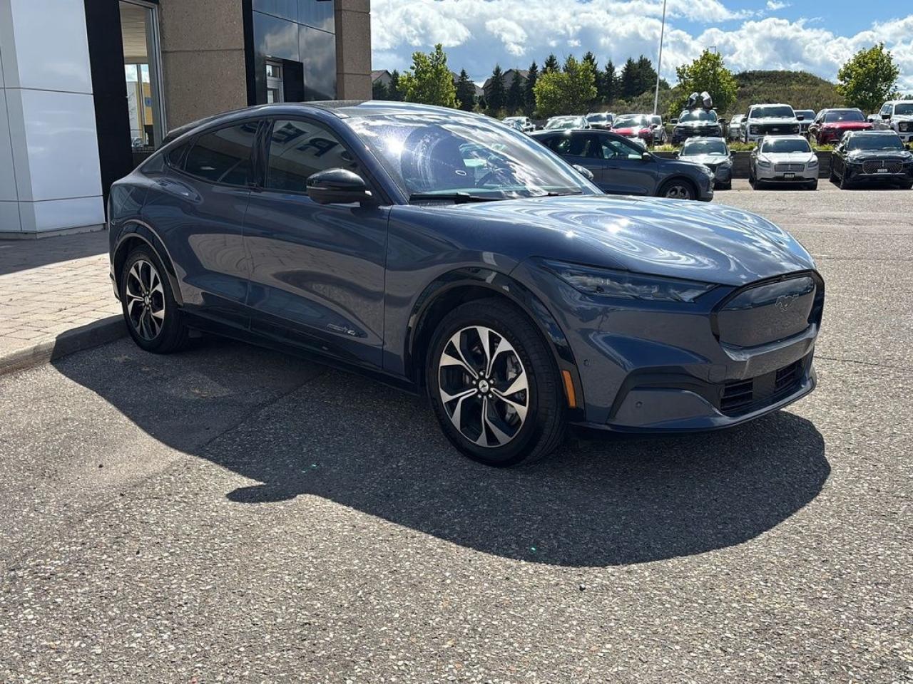 2021 Ford Mustang Mach-E Premium Photo5