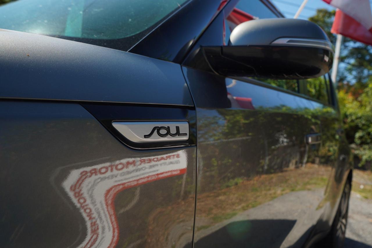 2015 Kia Soul SX Luxury - Photo #11
