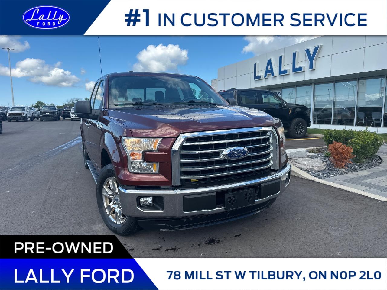 Used 2015 Ford F-150 XLT 5.0 V8, Local Trade, Moonroof, Mint! for sale in Tilbury, ON