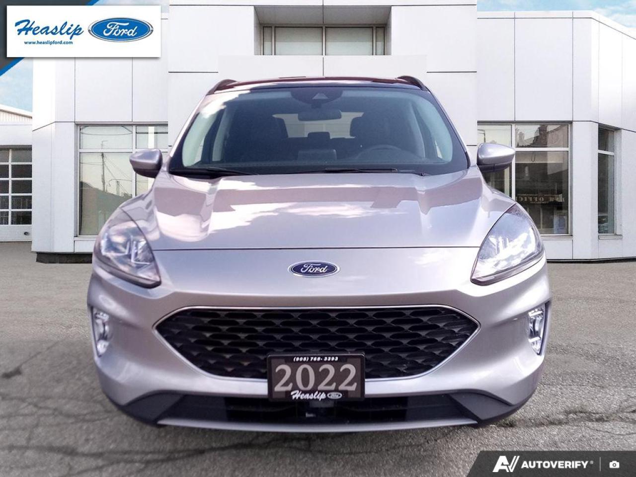 2022 Ford Escape SEL Photo2