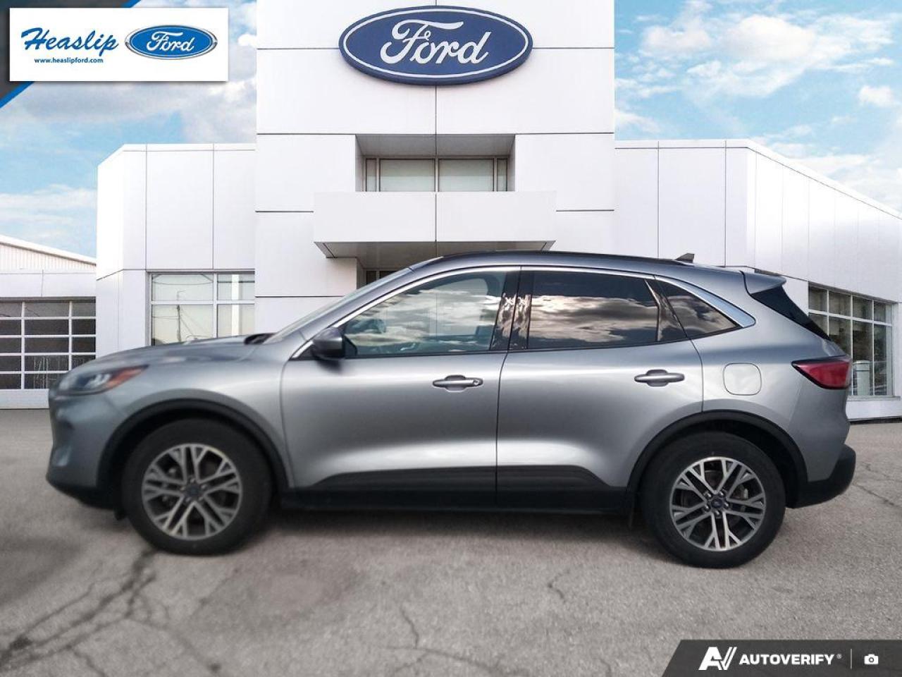 2022 Ford Escape SEL Photo