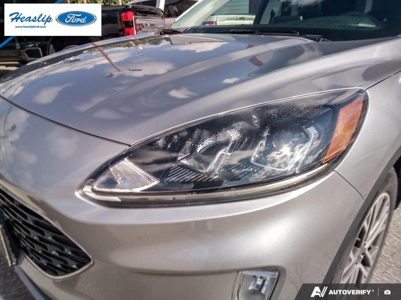 2022 Ford Escape SEL Photo5