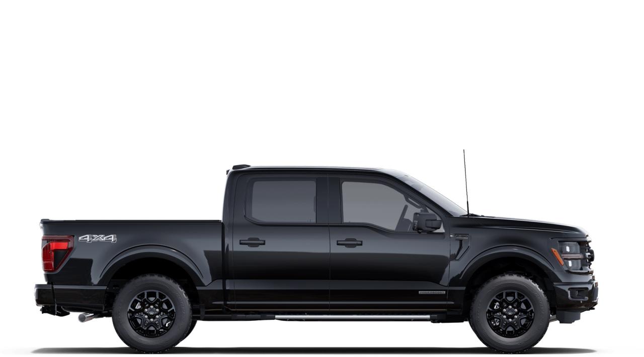 2025 Ford F-150 XLT Photo5