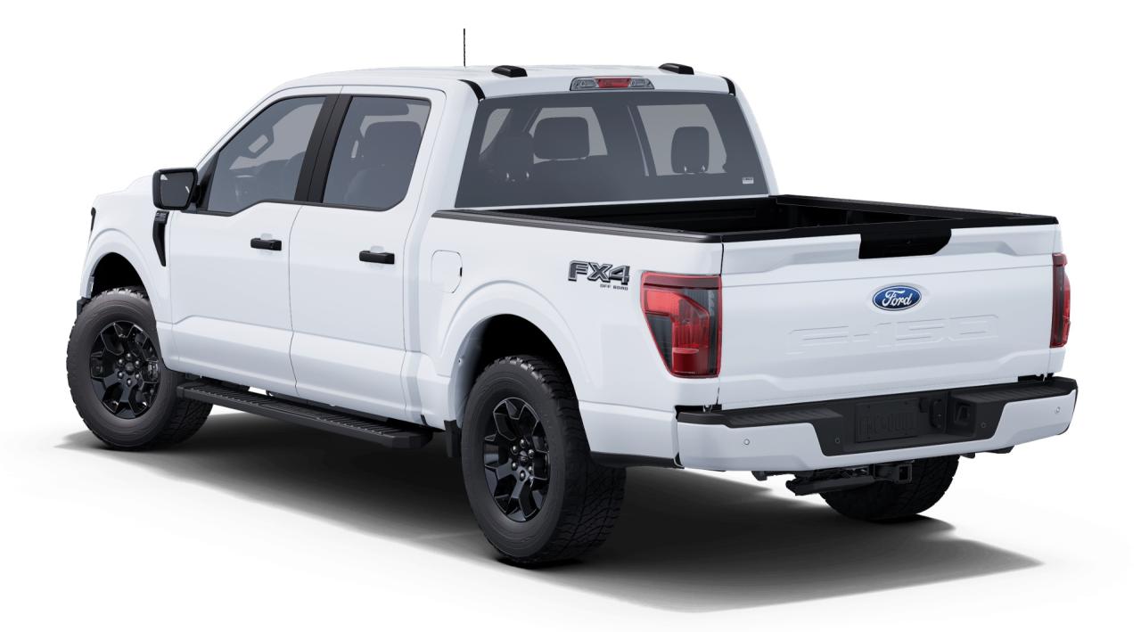 2025 Ford F-150 STX Photo