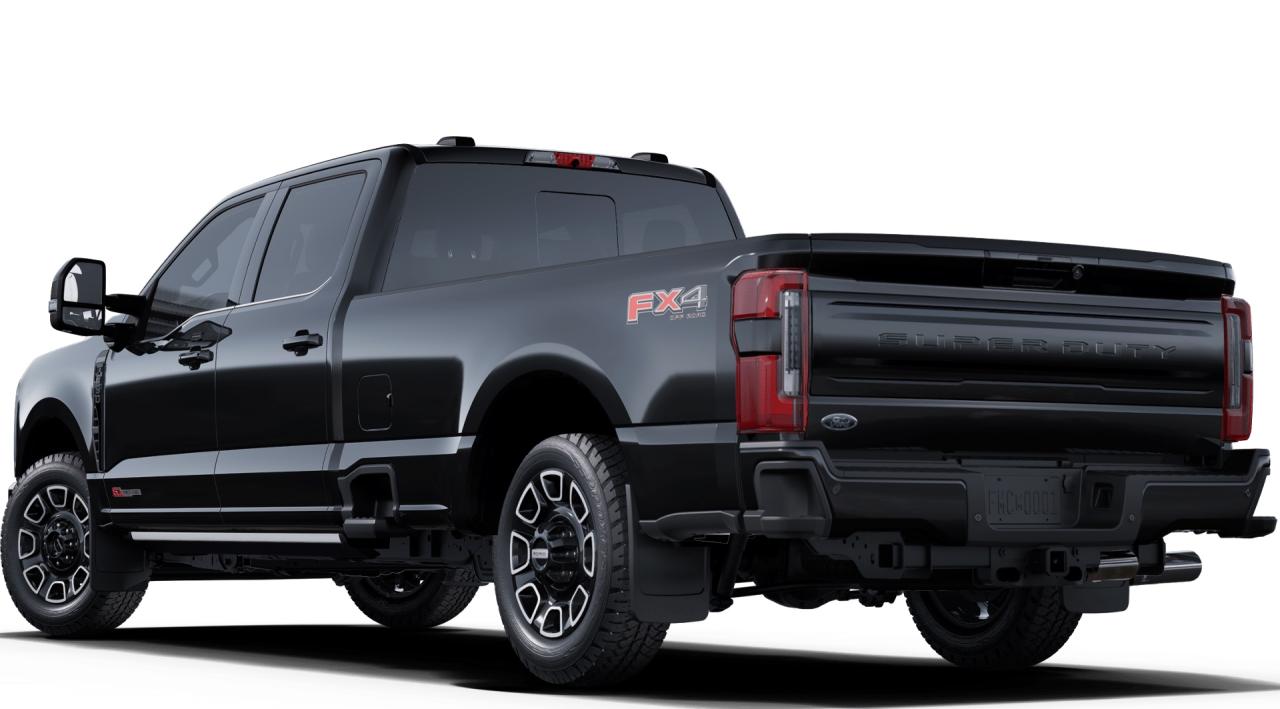 2025 Ford F-350 Super Duty SRW Platinum Photo5