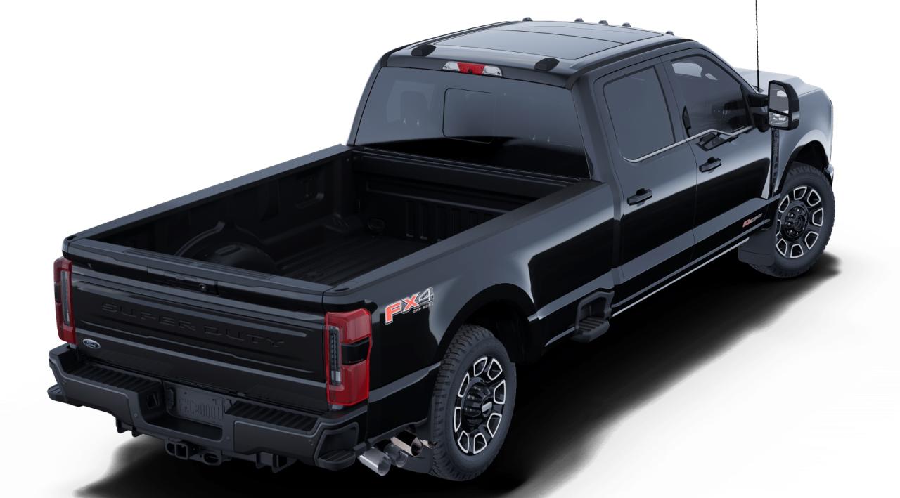 2025 Ford F-350 Super Duty SRW Platinum Photo2