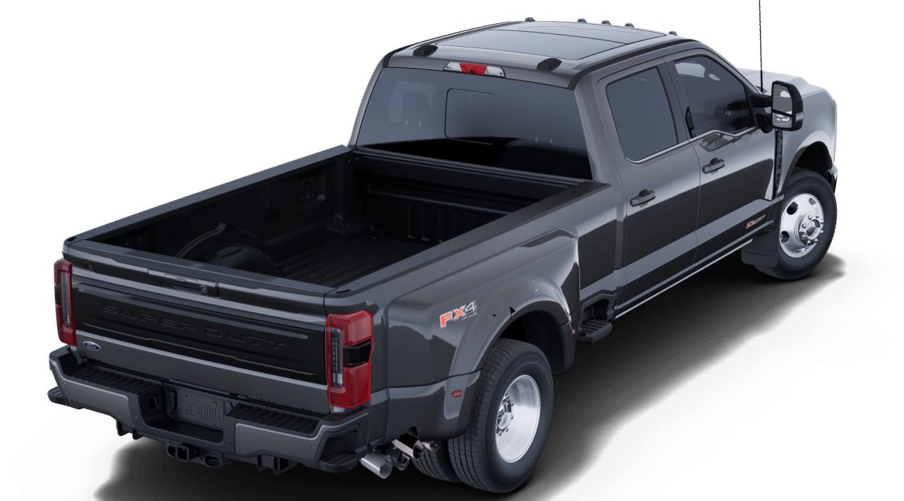 2025 Ford F-350 Super Duty DRW Platinum Photo2