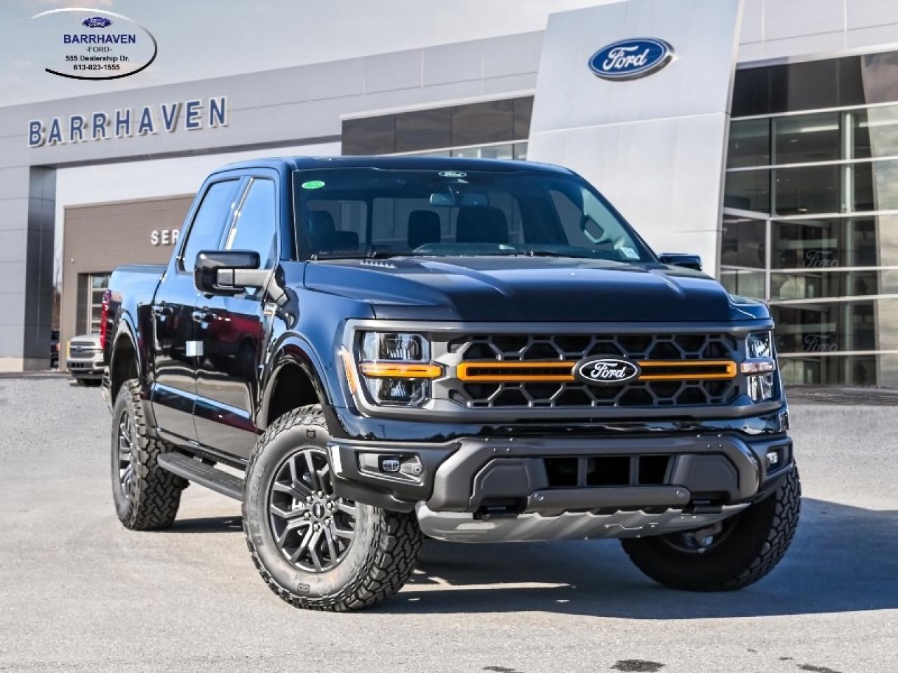 2025 Ford F-150 Tremor Photo0