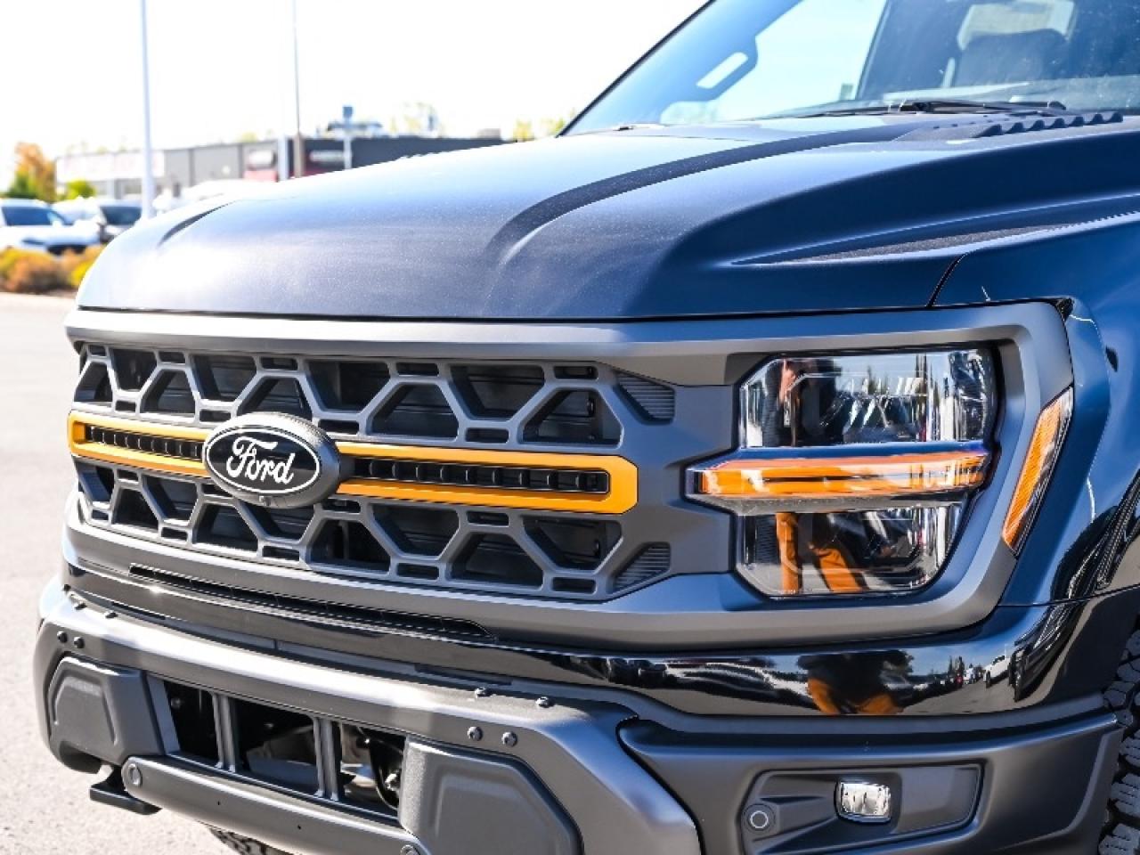 2025 Ford F-150 Tremor Photo
