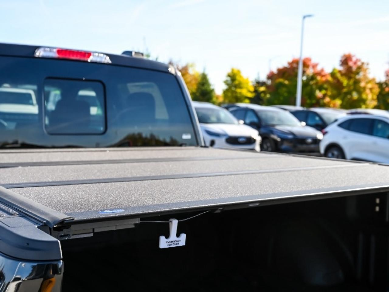 2025 Ford F-150 Tremor Photo