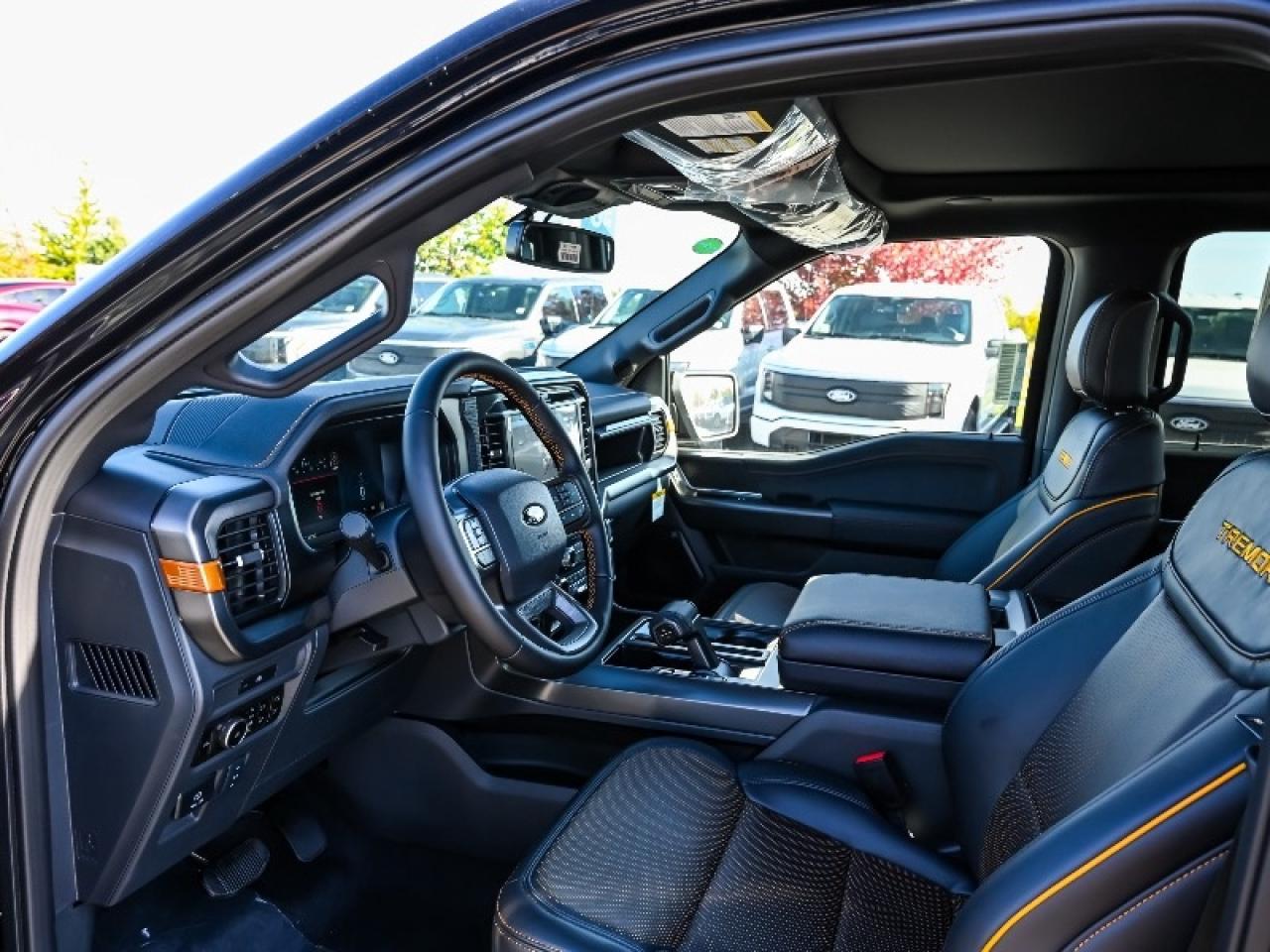 2025 Ford F-150 Tremor Photo