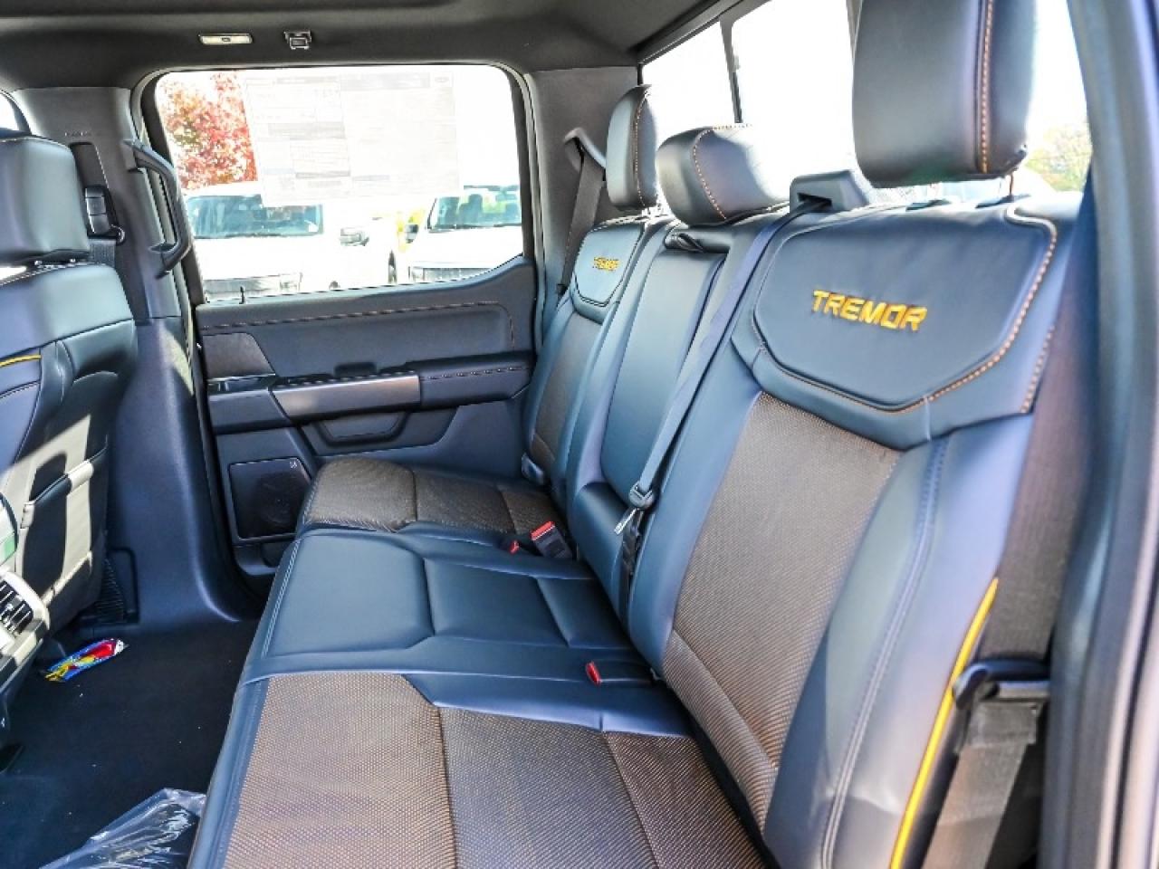 2025 Ford F-150 Tremor Photo